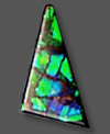 ammolite