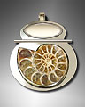 English ammonite, sterling silver pendant / slide