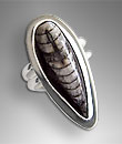 silver cephalopod ring