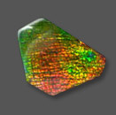 ammolite